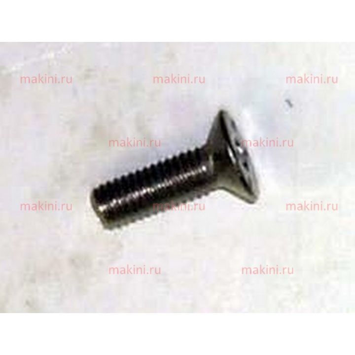 854500589 SCR M5 X 16mm LG FHSCS