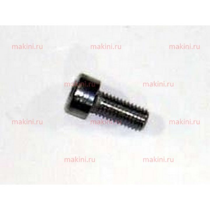 854500756 SCR M5X0.8 X 12 SHCS :