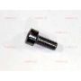 854500756 SCR M5X0.8 X 12 SHCS :