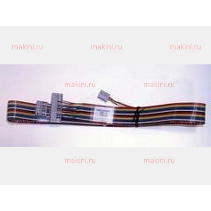 80145004